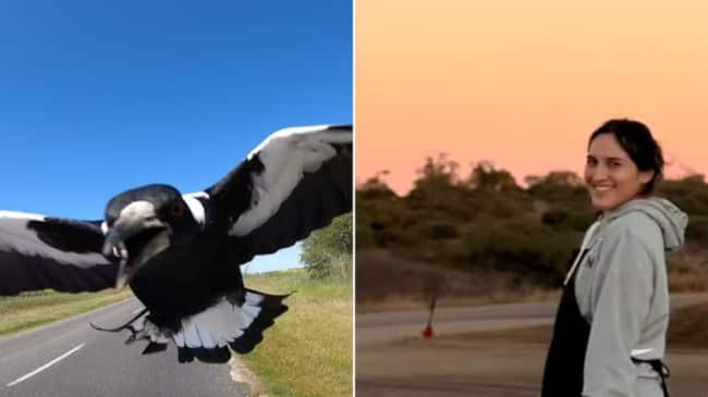 Mujer sufrió múltiples fracturas en la cara y el cuello tras ser atacada por un pájaro