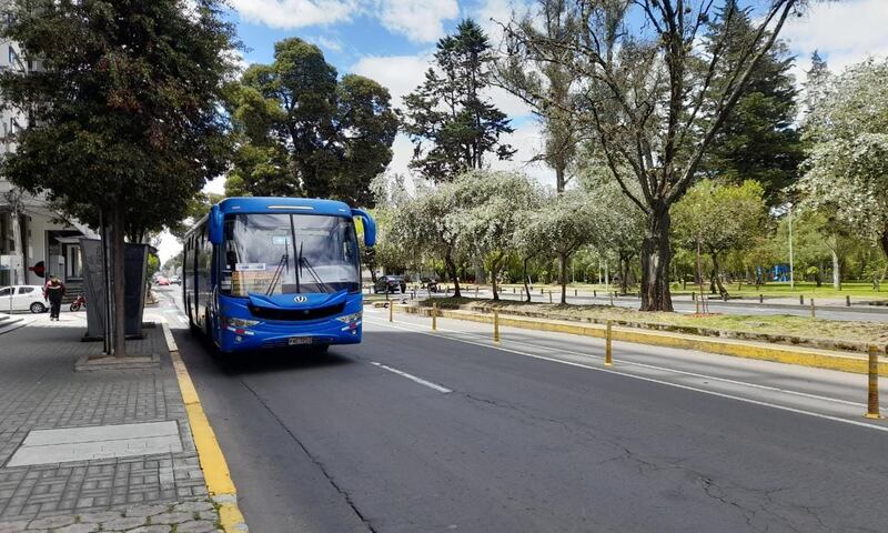 Roos en Quito