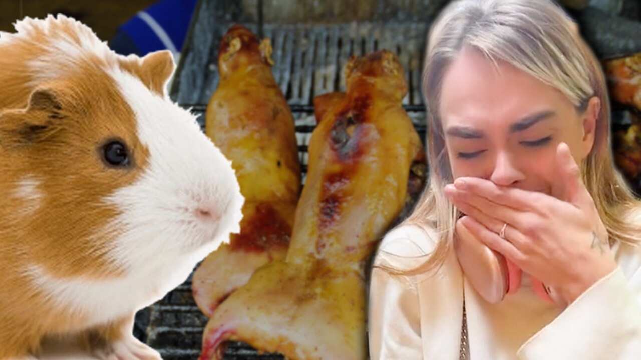 Influencer rusa pensó que comía cuy en Ecuador, pero los seguidores se dieron cuenta de un asqueroso detalle