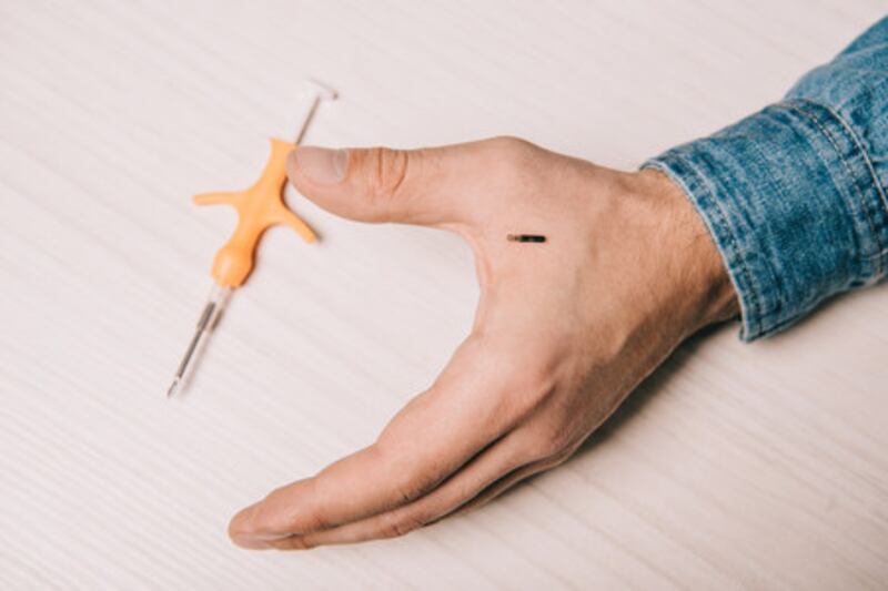 Instalación de microchip.