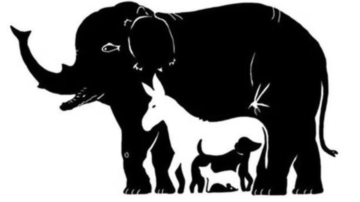 Encuentra los 13 animales ocultos.