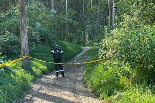 Ciudadano hallado sin vida en el bosque de Monjas fue hallado con una herida de bala en la cabeza