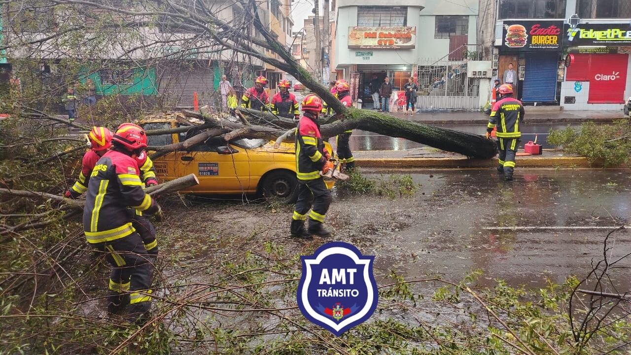 Árbol cayó sobre taxi en Carapungo