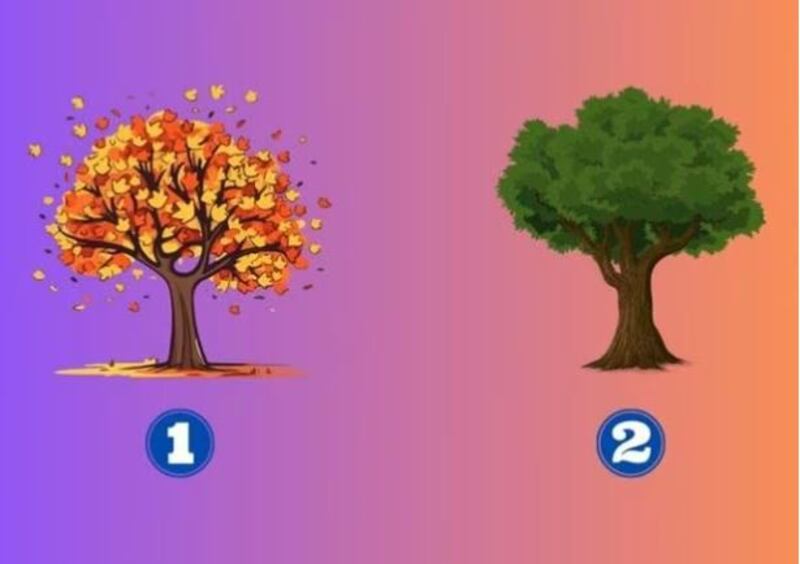 Imagen del test de personalidad