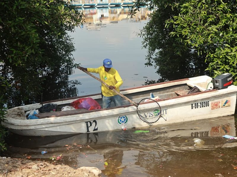 Las labores de limpieza buscan reducir el impacto de los desechos arrastrados al manglar y prevenir afectaciones ambientales.
