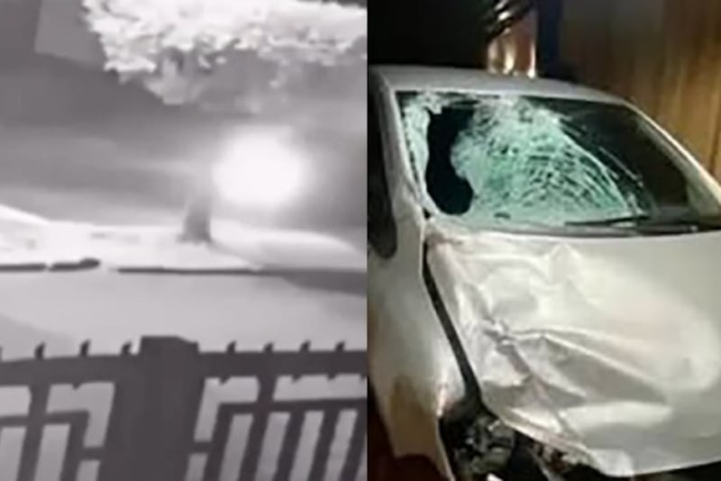Joven Argentina muere atropellada y arrastrada en Brasil