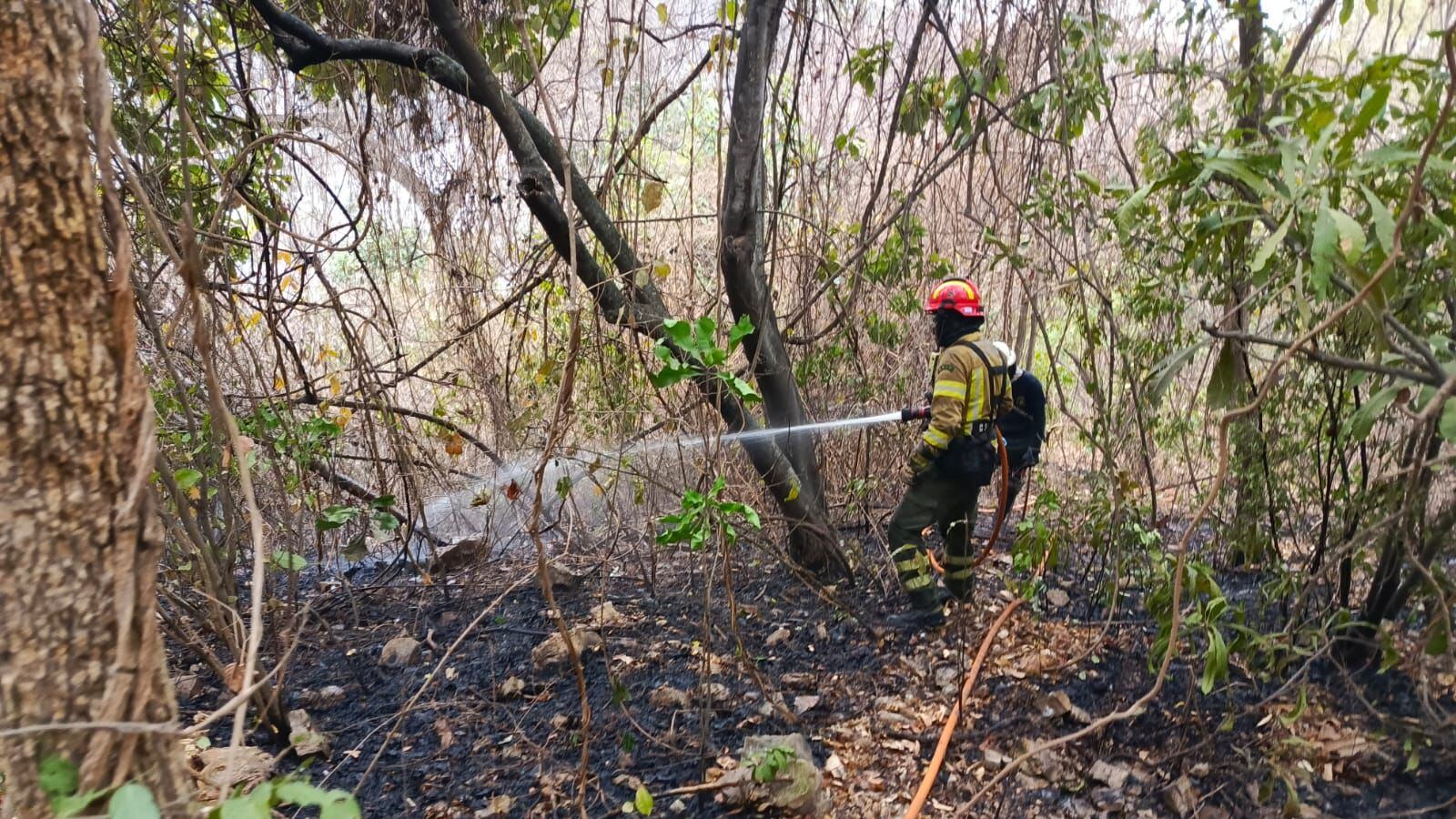 Incendio en el Cerro Azul ha sido controlado al 90% tras 24 horas de combate