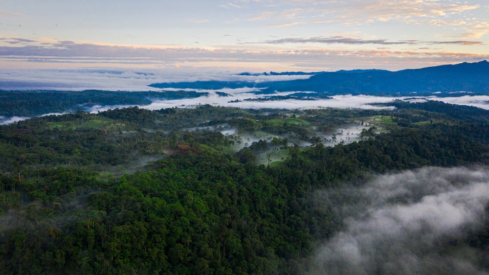 Ecuador. Hablamos de uno de los países con mayor biodiversidad en el mundo.