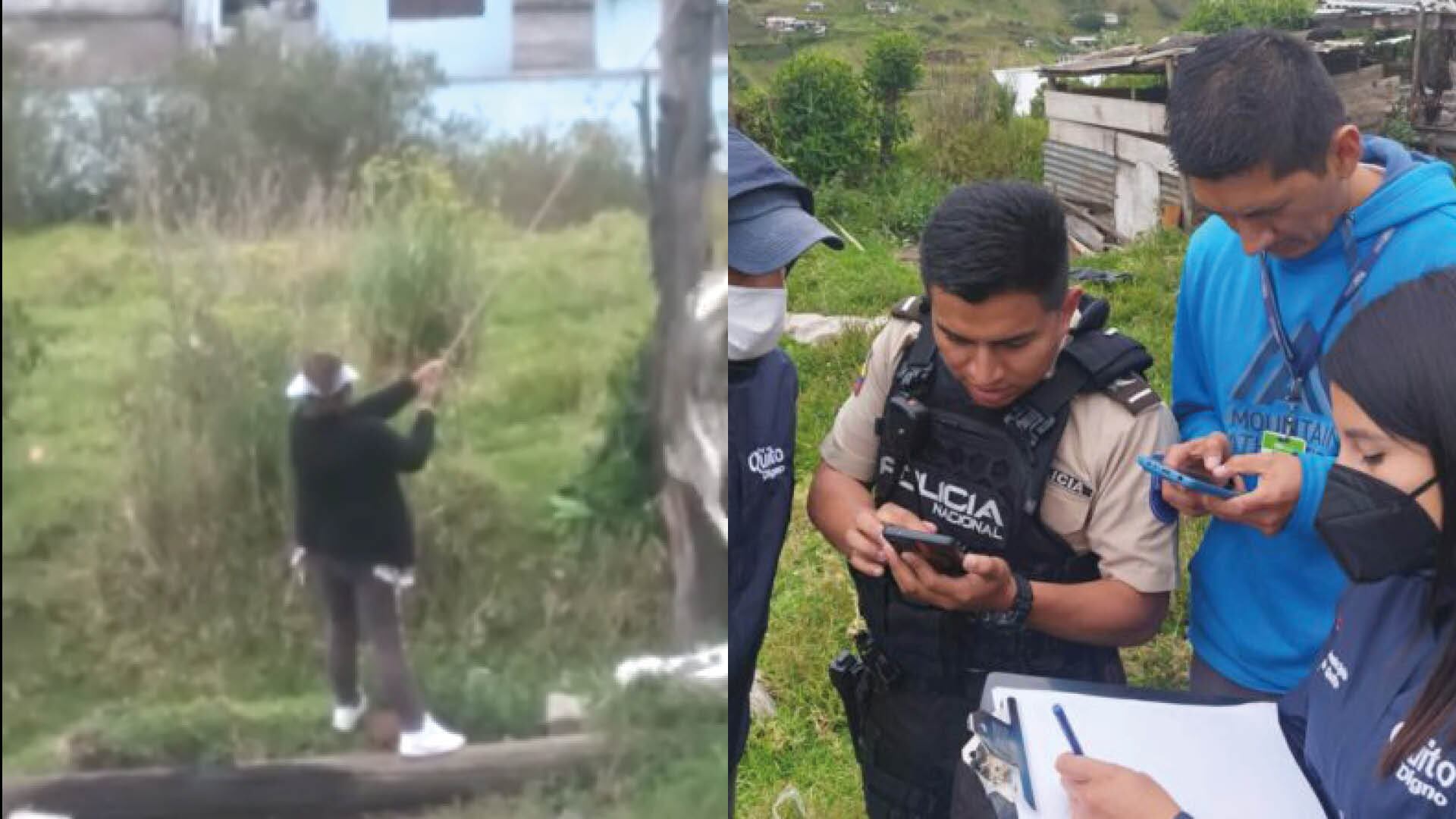 Indignación por una una mujer que ahorcó a un perrito en el sur de Quito; Piden que la sanción sea la cárcel