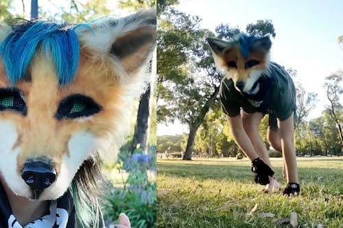 ¿Hay “therians” en Ecuador? Lo que hay detrás de la tendencia viral