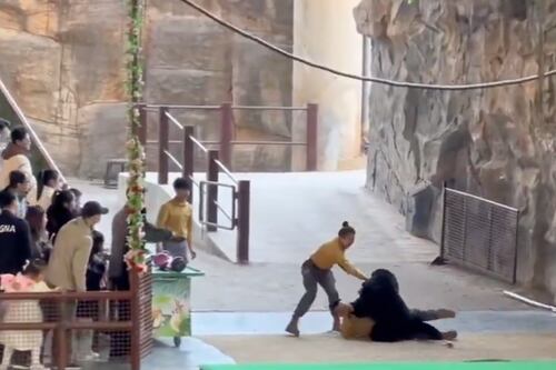 Oso atacó a su cuidador durante un espectáculo en un parque safari de China