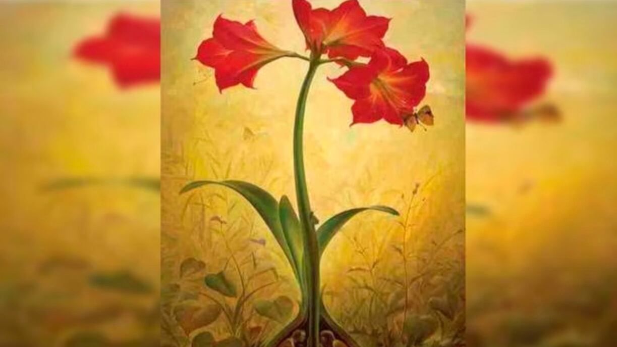 Descubre más sobre ti.