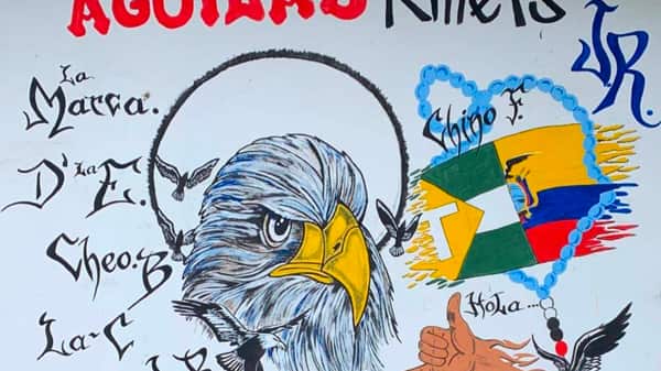 Quienes son 'Los Fatales', banda que inició balacera con Los Águilas y terminó con la muerte de El Patrón Norero