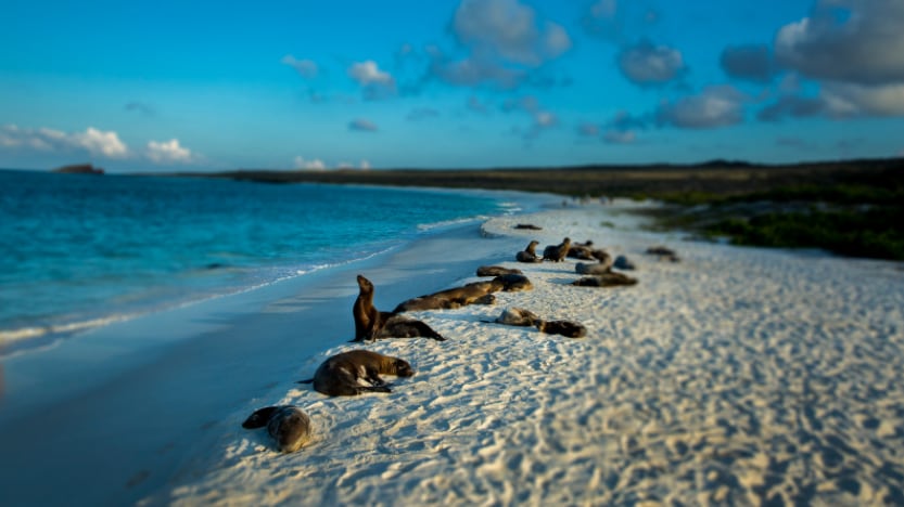 Las Islas Galápagos serán la sede de la décima edición de Premios Verdes, entre el 19 y el 22 de abril.