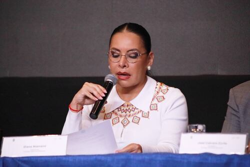 Consulta Popular: hora que se conocerá una tendencia de victoria del SI o el NO