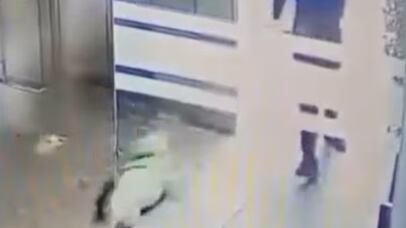 Indignación por video de un médico maltratando a un perro