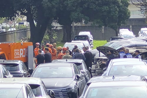 Oliver Tree, Gaspi y los otros pasajeros que murieron en la tragedia aérea de Brasil