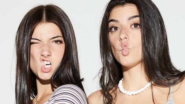 Charlie y Dixie D'Amelio