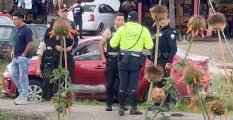 Tomó el vehículo de un familiar mientras estaba ebrio y terminó en una persecución policial en Loja - Fuente: Video de Info Loja