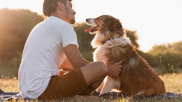 Día Mundial del Perro