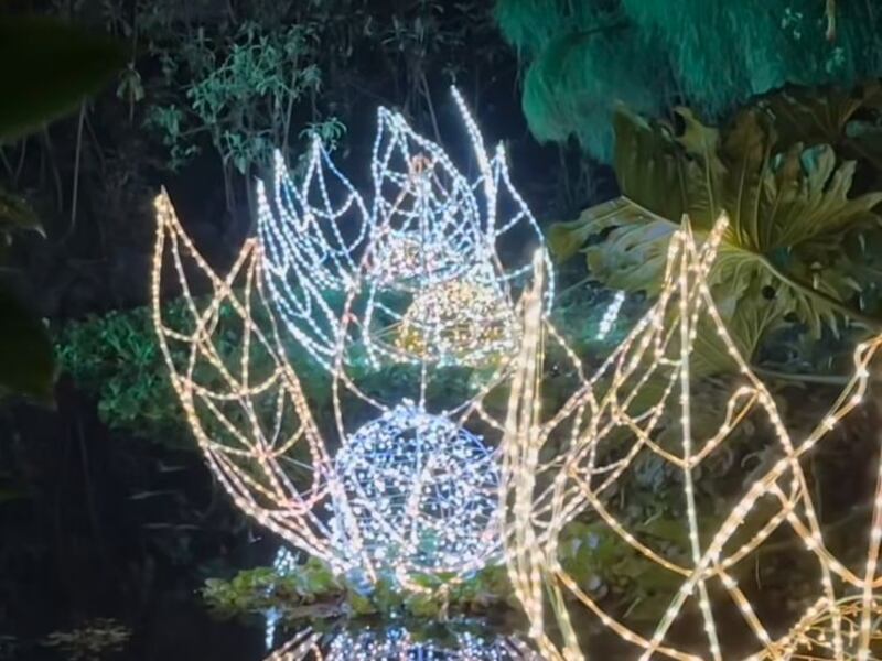 Bosque de Luz en el Jardín Botánico de Quito