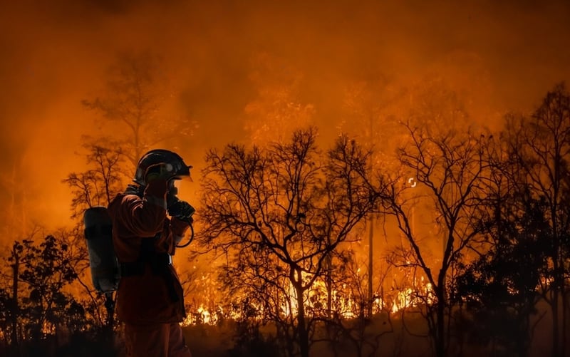 Los bomberos luchan contra un incendio forestal y el cambio climático