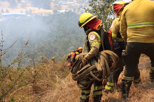 Bomberos de Quito busca profesionales para Gestión de Siniestros