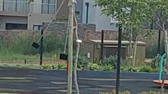 Fantasma en columpio