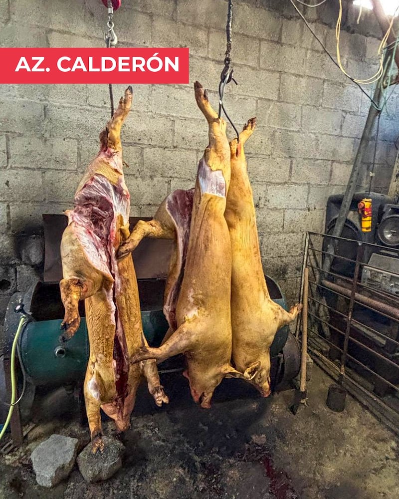 Tres mataderos clausurados y más de 3.200 libras de carne incautadas en Quito. Imagen: AMC