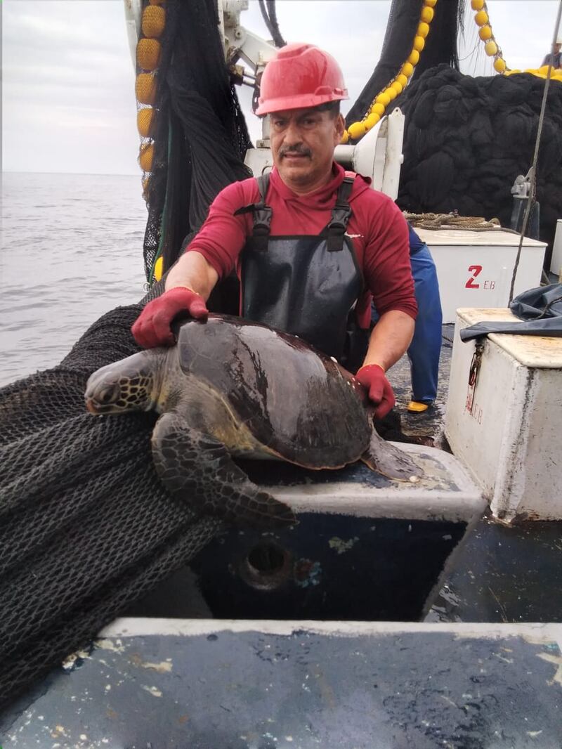 En el programa participan 23 barcos que pertenecen al proyecto Small Pelagics Sustainability – SPS-FIP, siendo NIRSA la compañía que destacó al tener nominaciones en las 3 categorías