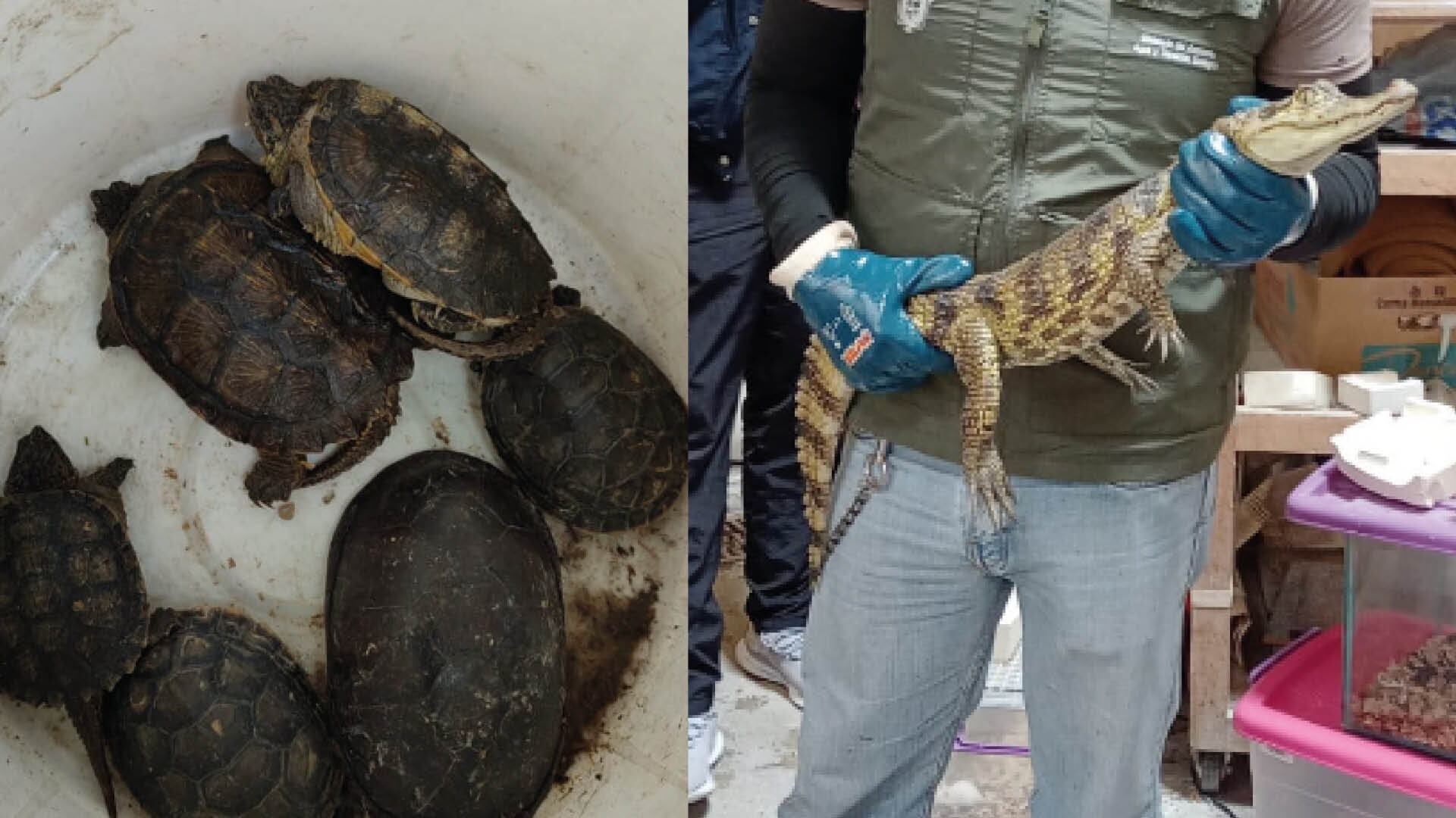 Ministerio de Ambiente