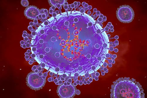 ¿Metapneumovirus forma parte de las profecías de Nostradamus?