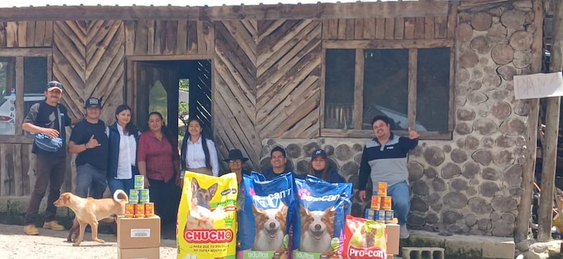 ¡Hachi, el perrito que salvó a Lucas en el cerro Puñay ya recibió ayuda!