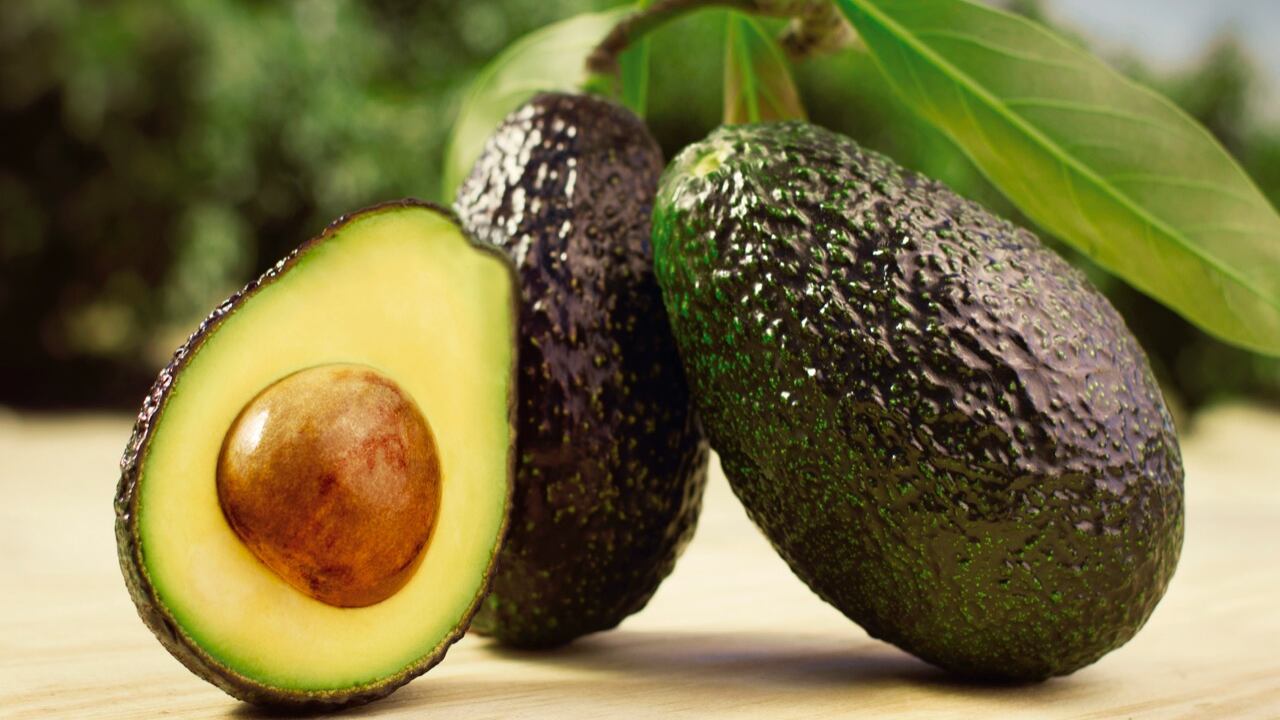 Fruto.