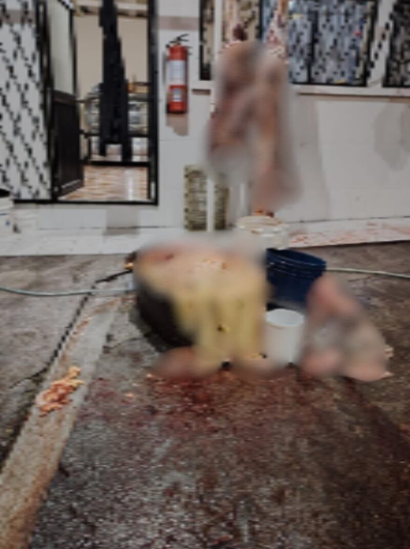 Decomisan 1.260 kilos de carne en matadero clandestino en Carcelén