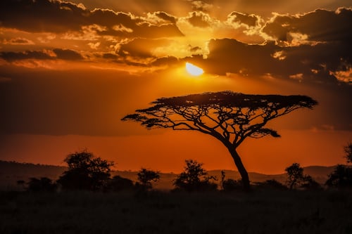 Pon a prueba tus conocimientos sobre África con este quiz