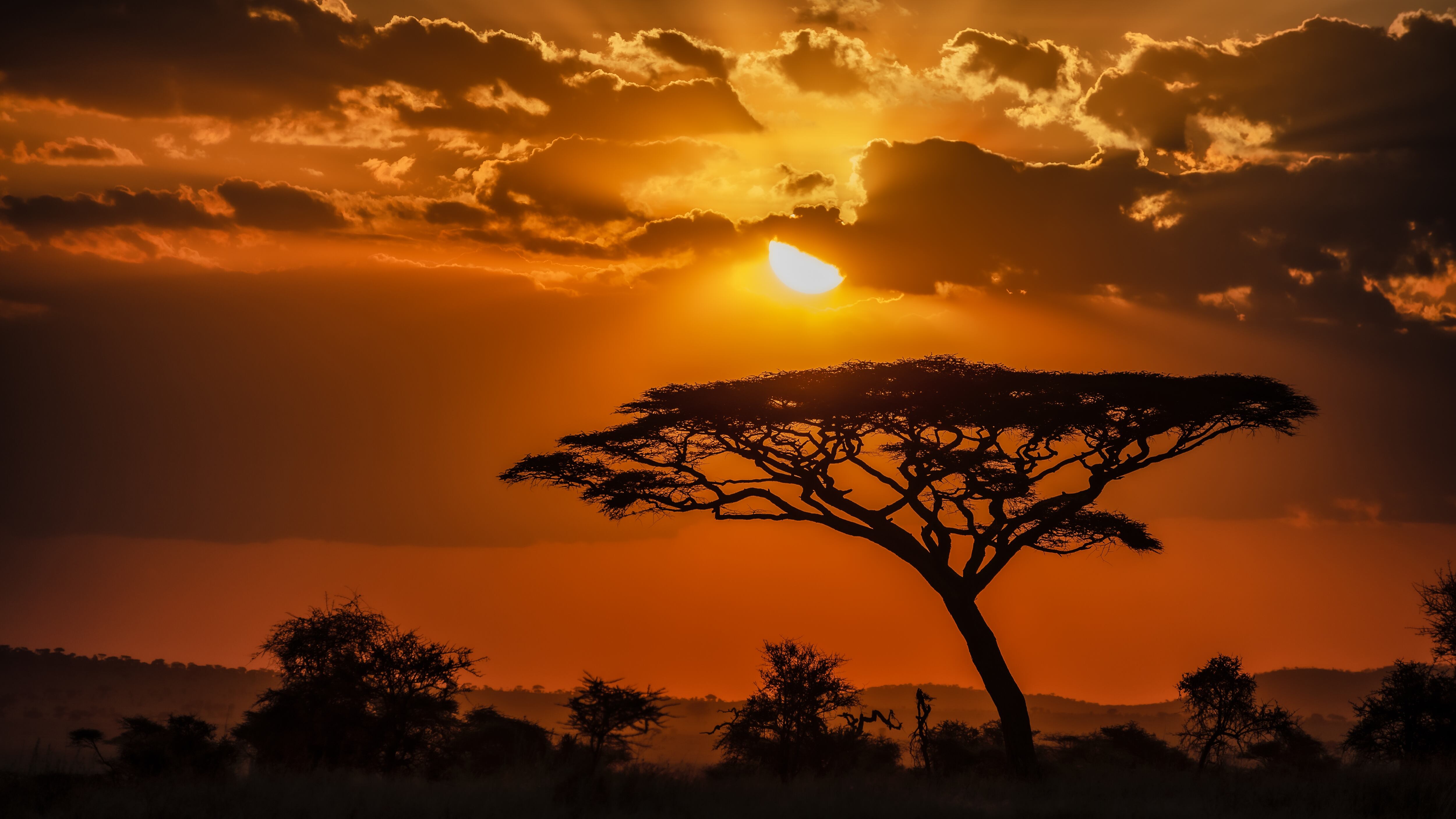 Cada 25 de mayo se celebra el Día de África como conmemoración de la fundación en 1963 de la Organización para la Unidad Africana, actualmente conocida como Unión Africana. Foto: Freepik.