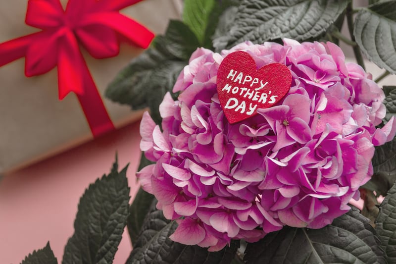 flores para mamá