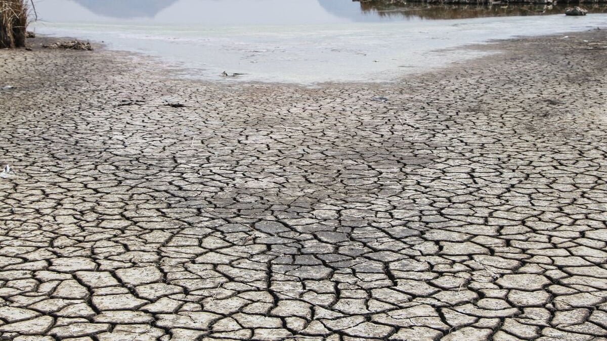 Intel y Kilimo en busca de mejor calidad de agua en México