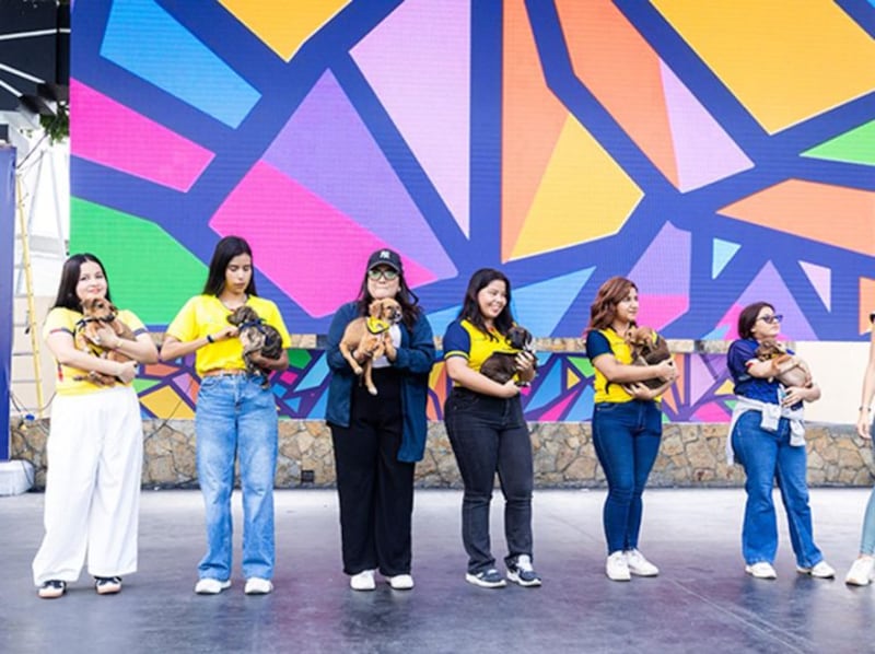 Once perros rescatados participaron en una iniciativa que combinó la pasión por la Tri con la promoción de la adopción responsable en Guayarte