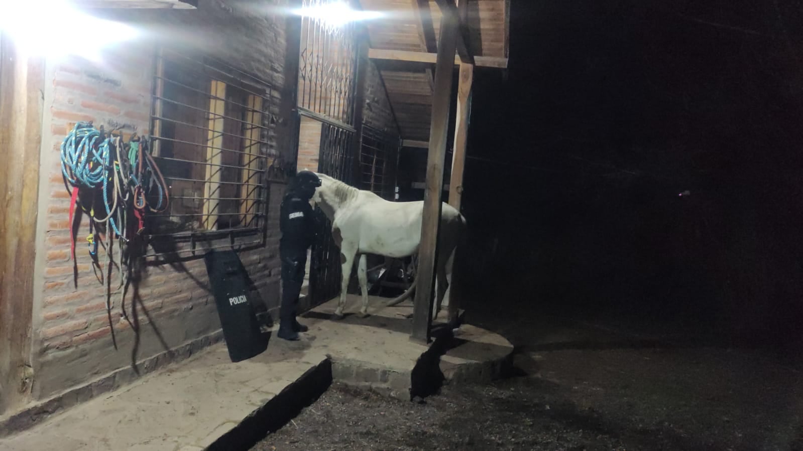 “Presentaba una actitud nerviosa”: así habría confesado la hermana de Luis Alfonso Jijón el crimen