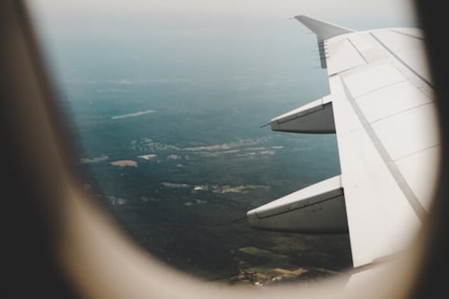 Viral: La cantidad de asientos que necesitó este perro para viajar en avión