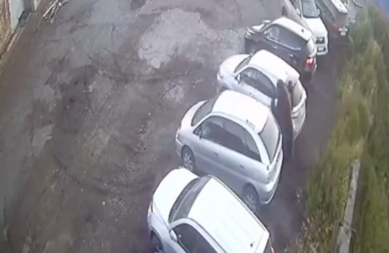 ataque de oso en Rusia