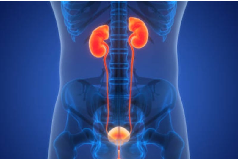 Creyó tener una infección urinaria pero en realidad era cáncer terminal