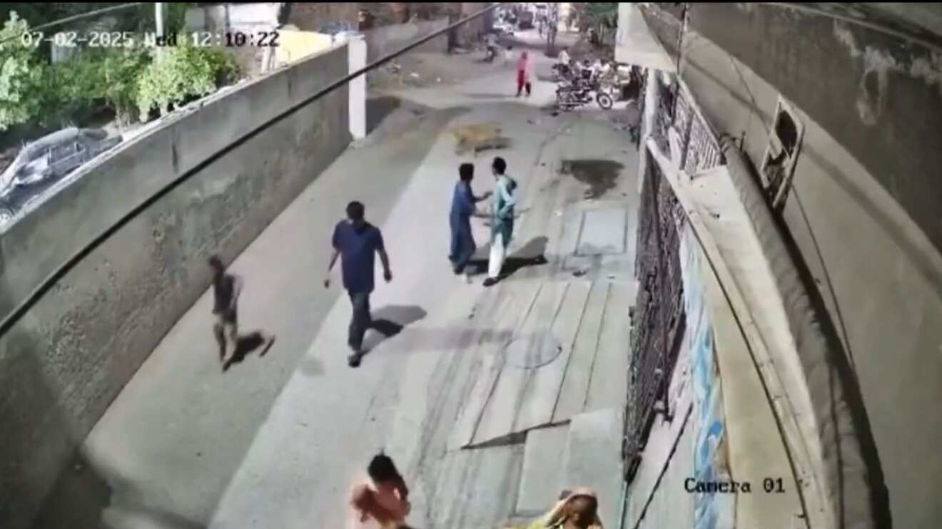 León escapa y ataca a varias personas en Pakistán