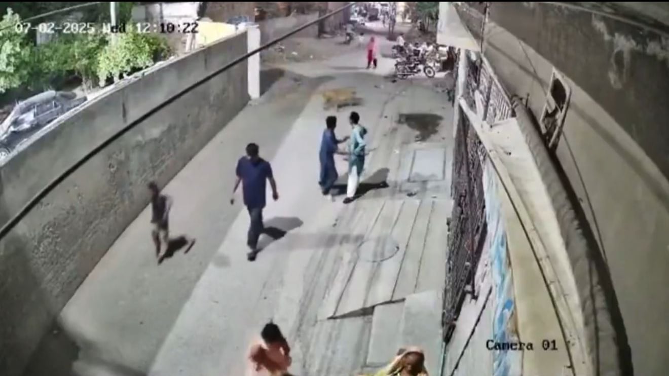 León escapa y ataca a varias personas en Pakistán