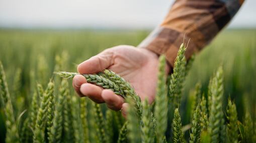 Integrante de los ‘Chone Killers’ habría exigido USD 100 mil por el rescate de agricultor, amenazando con acabar con su vida