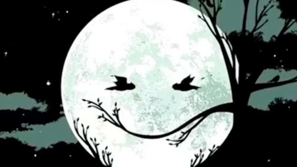 Dinos lo primero que viste.