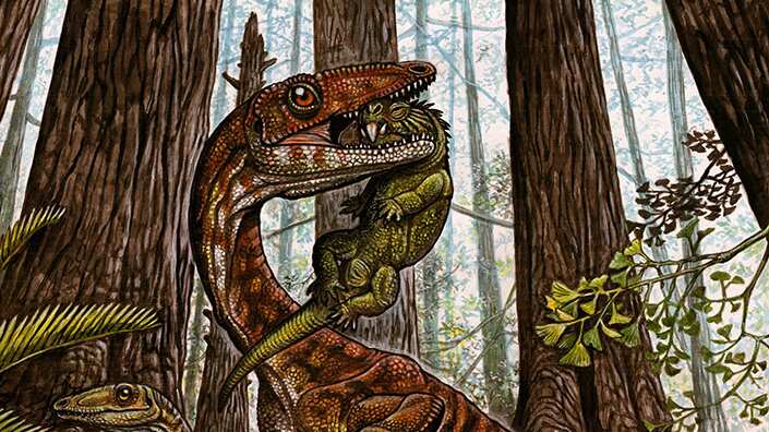 Divulgação/Internet