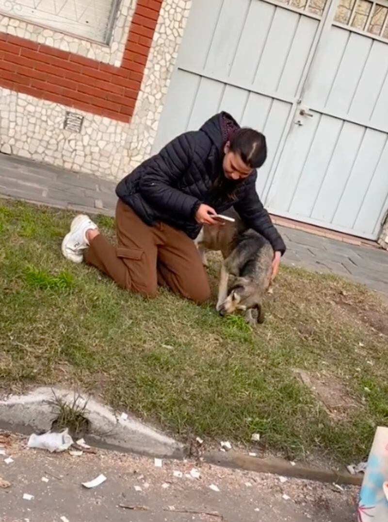 Perro encontrado en un viaje en moto